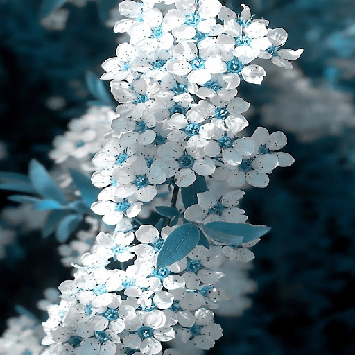 Hd-142172-ascw142172