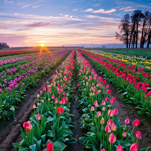 Hd-142702-ascw142702