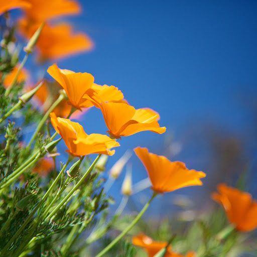 Hd-164140-ascw164140