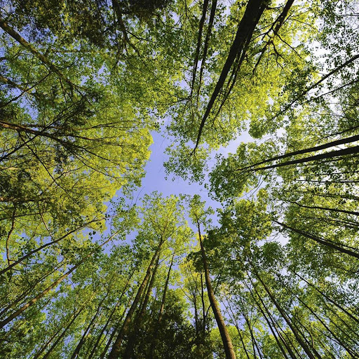 Hd-139600-ascw139600