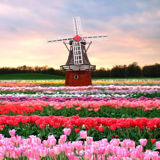 Hd-145959-ascw145959