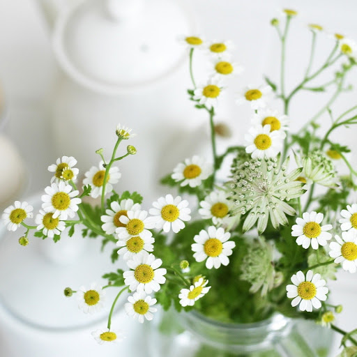 Hd-146545-ascw146545