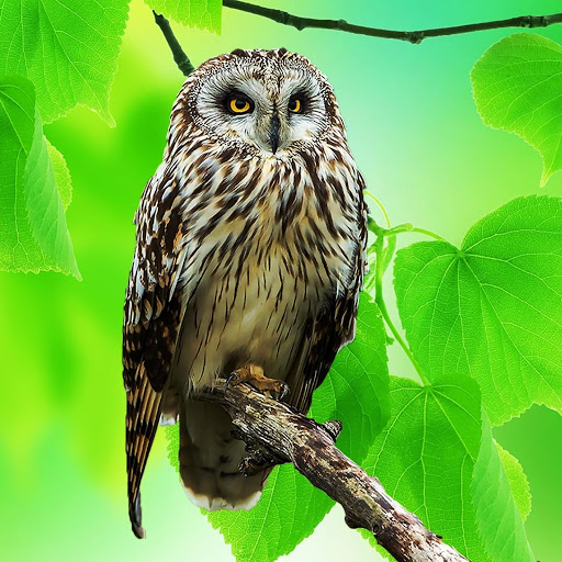 Hd-148728-ascw148728