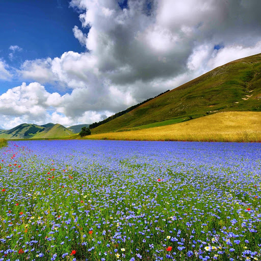 Hd-152453-ascw152453