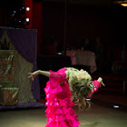 IMG_8712.JPG