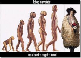 Iobag in evolutie