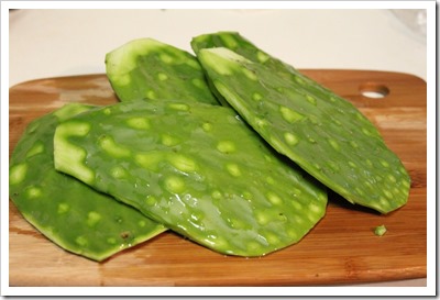 Nopal Cactus Juice | Mexican Recipes