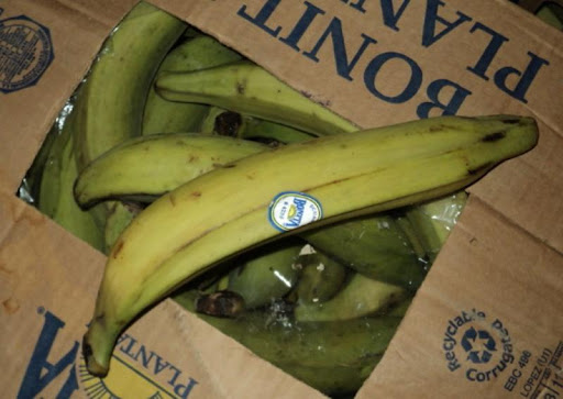 Банан-мачо (овоч)