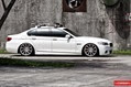 Vossen-20