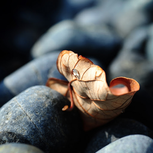 Hd-146489-ascw146489