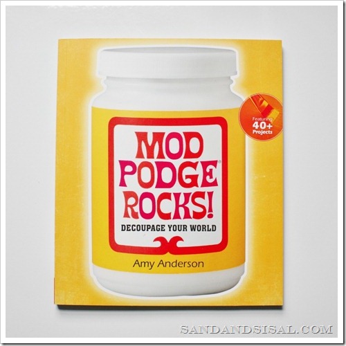 Mod_Podge_Rocks!_Book (800x800)