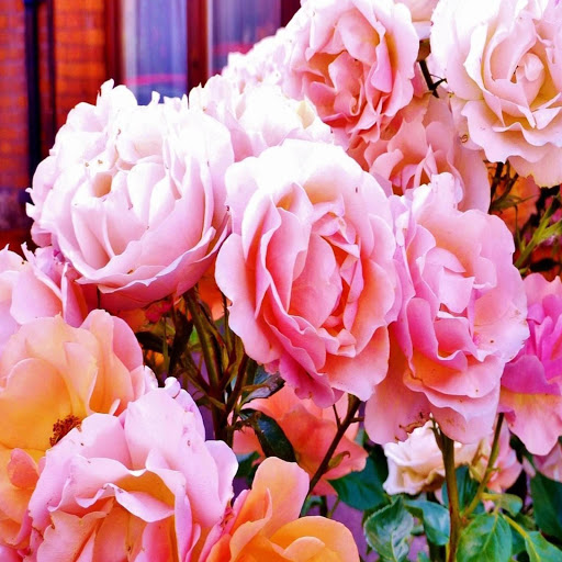 Hd-172153-ascw172153