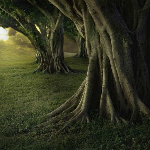 Hd-139425-ascw139425