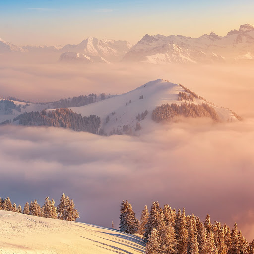 Hd-171715-ascw171715