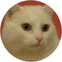 Image Google de Nicole