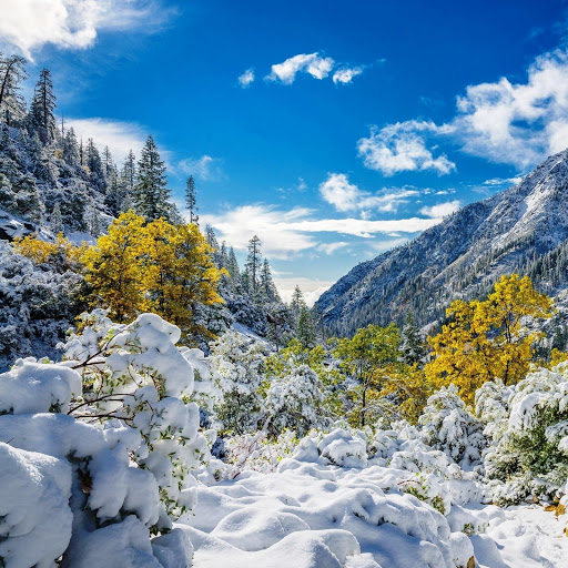 Hd-149072-ascw149072