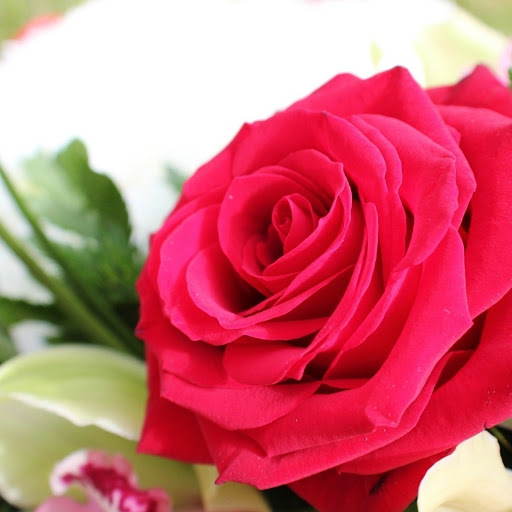 Hd-172719-ascw172719