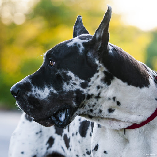 Hd-167118-ascw167118