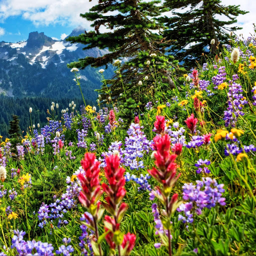 Hd-142221-ascw142221