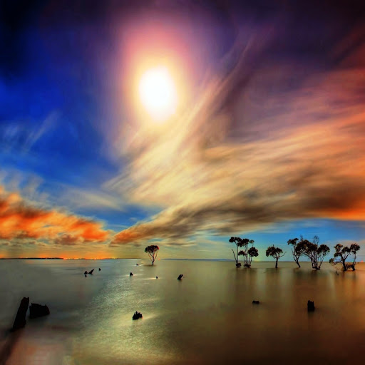 Hd-161750-ascw161750