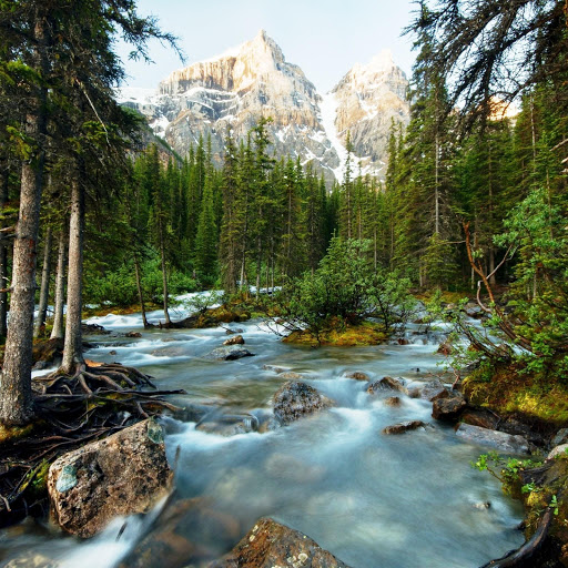 Hd-141786-ascw141786