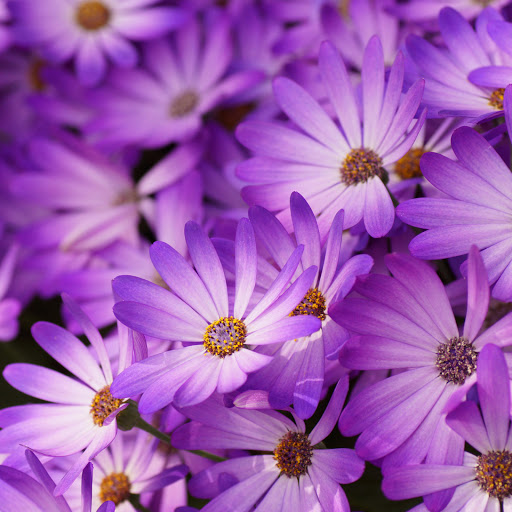 Hd-156756-ascw156756