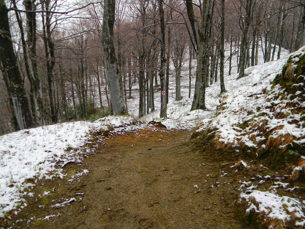 [DSCN13013.jpg]