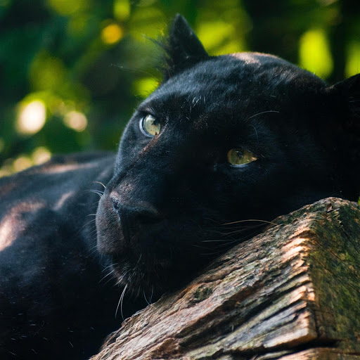 Hd-147785-ascw147785