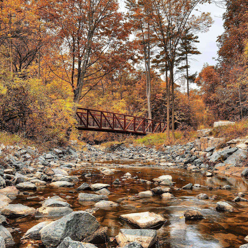 Hd-142091-ascw142091