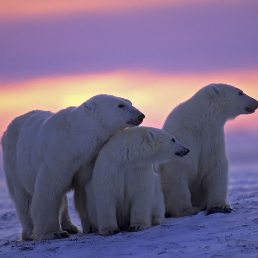 Hd-134659-ascw134659