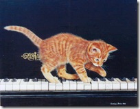 gato pianista blogdeimagenes (15)