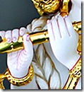 Krishna's hands