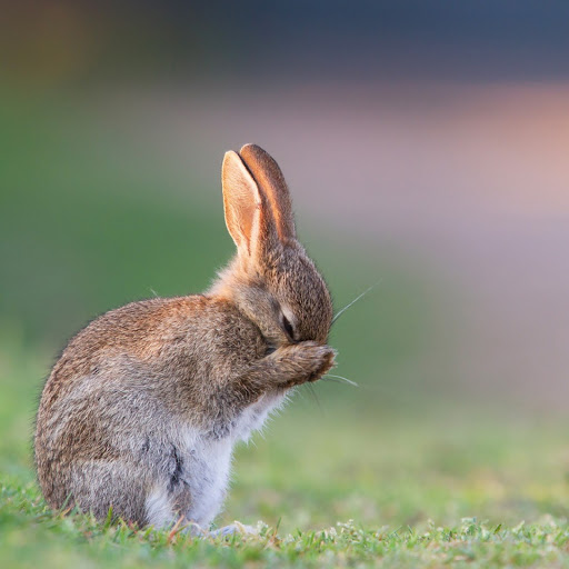 Hd-158329-ascw158329