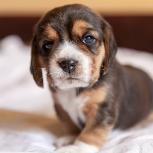 Hd-166242-ascw166242