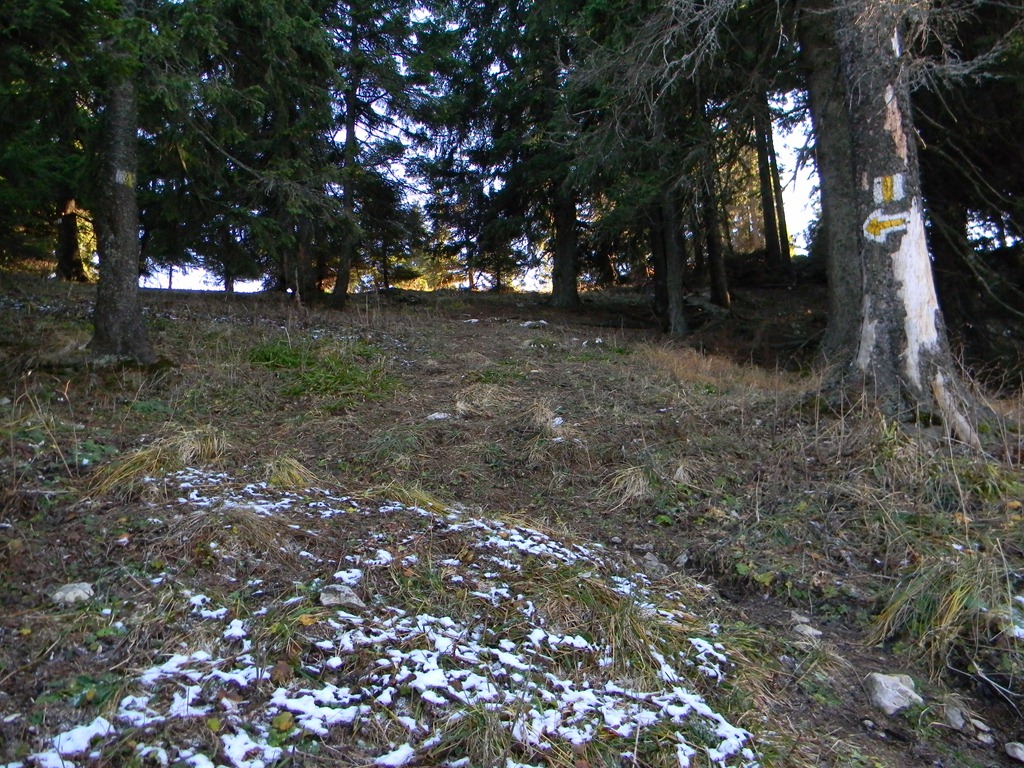 [DSCN10203.jpg]