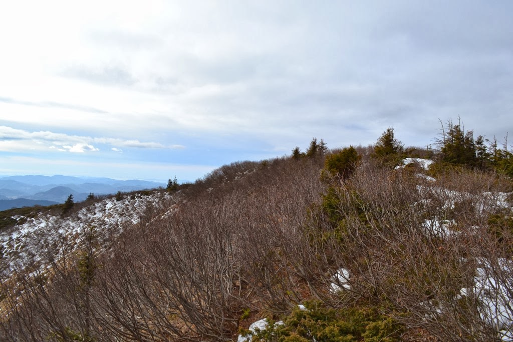 [DSC_05973.jpg]