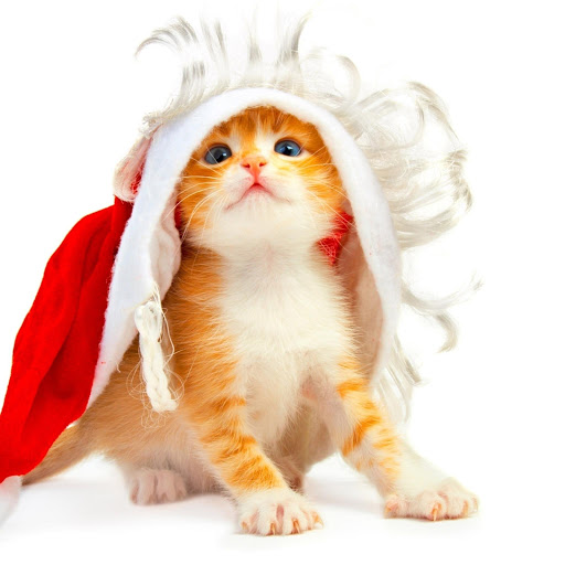 Hd-182106-ascw182106