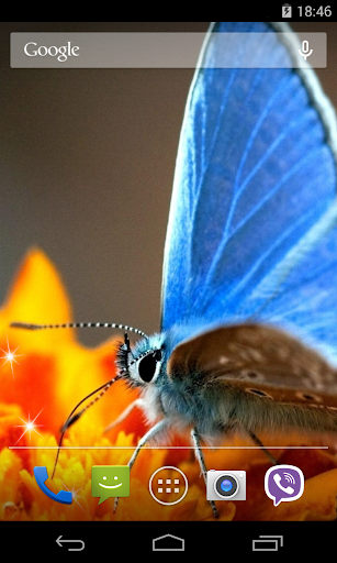 Butterfly Live Wallpaper