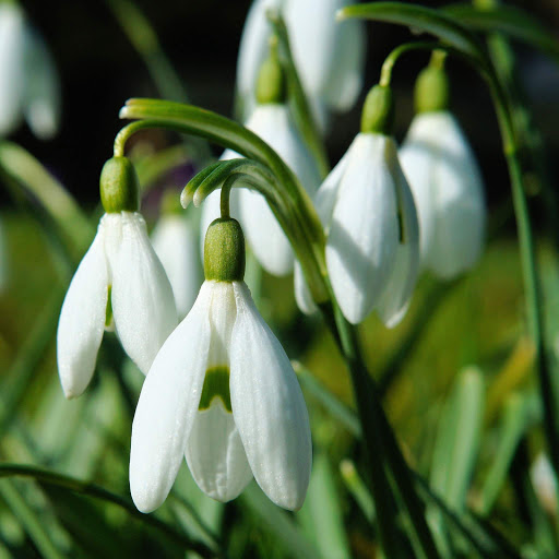 Hd-152554-ascw152554