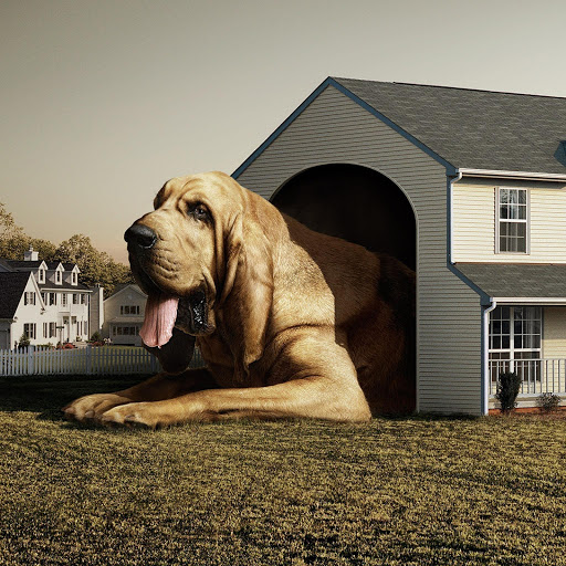 Hd-135228-ascw135228