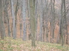 DSCN5104.JPG