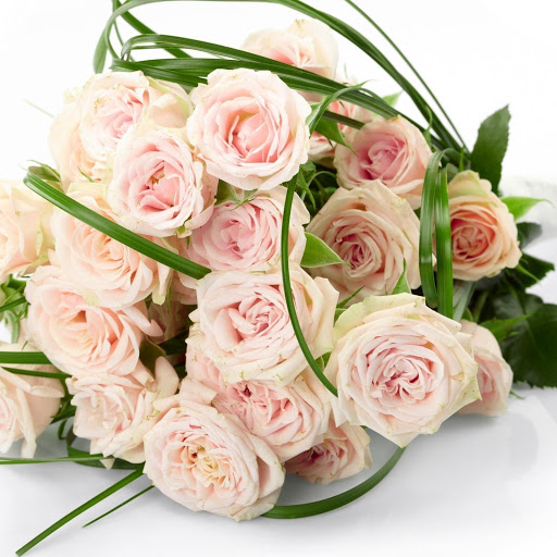 Hd-177329-ascw177329