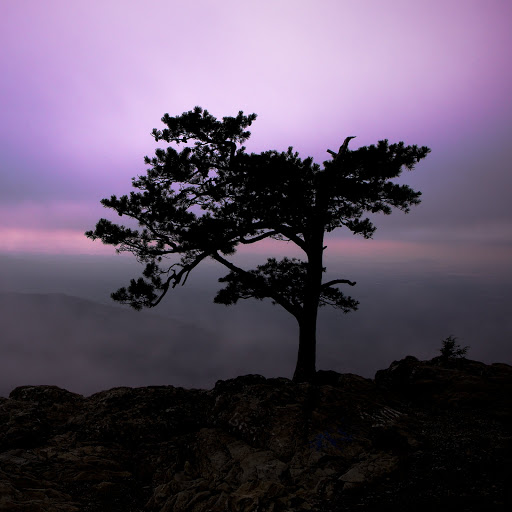 Hd-143322-ascw143322