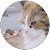 アルナージ アルナージ