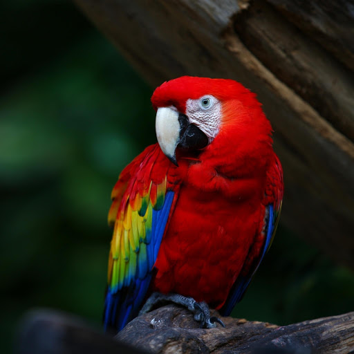 Hd-178648-ascw178648