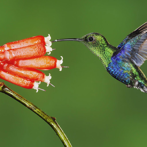 Hd-144125-ascw144125