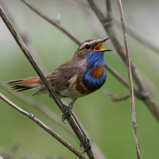 Hd-174052-ascw174052