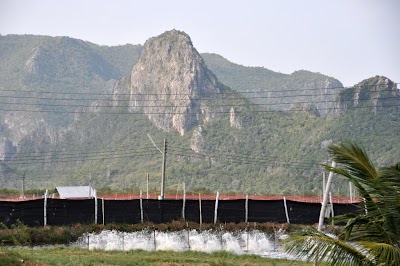 DSC_0791.JPG