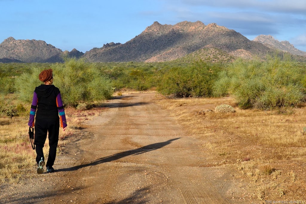 [DSC_0003%255B13%255D.jpg]