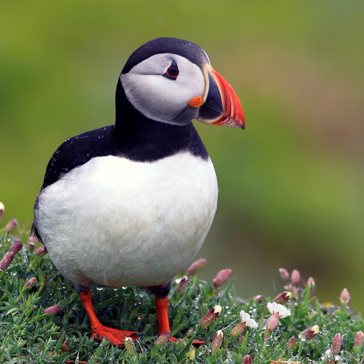 Hd-177784-ascw177784